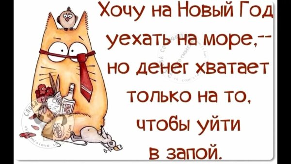Смешные цитаты про новый год