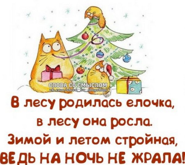 Высказывания про новый год с юмором