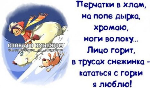 Смешные новогодние высказывания
