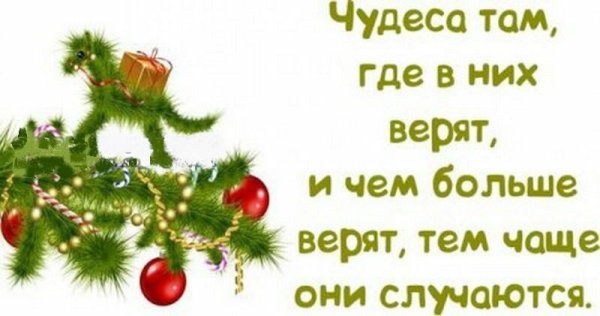 Высказывания про новый год