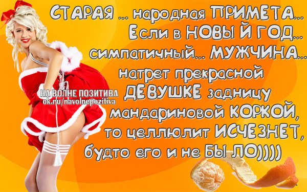 Смешные высказывания про новый год в картинках