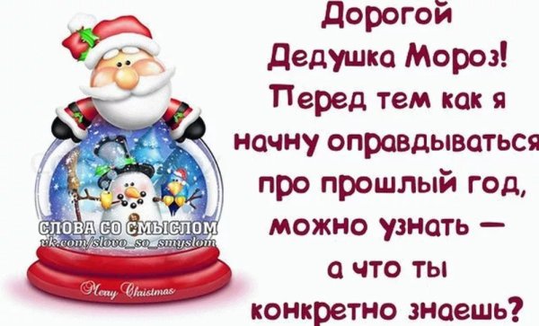Афоризмы про новый год прикольные