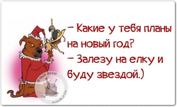 Смешные цитаты про новый год