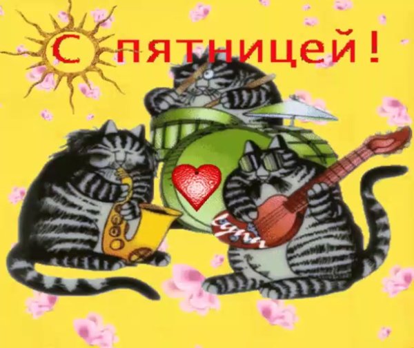Смешные открытки