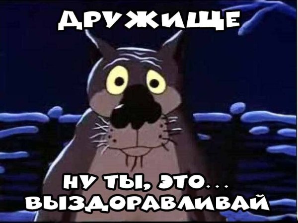 Выздоравливай мой друг