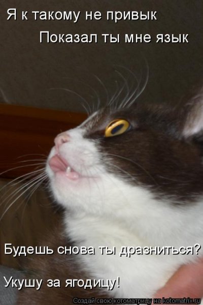 Укушу прикол