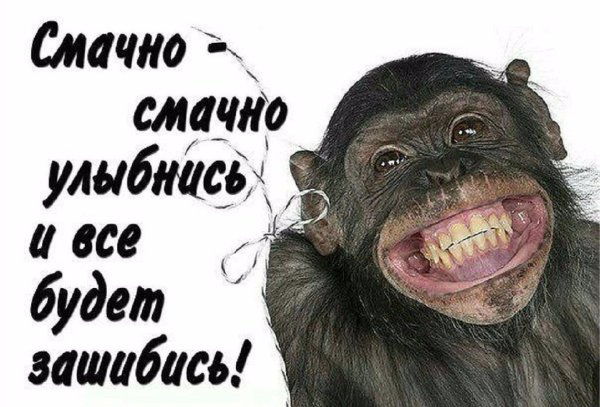 Смешные картинки улыбнись