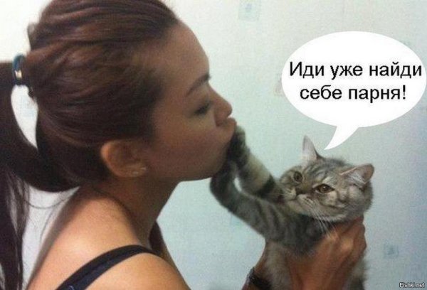 Девушка с котом смешные