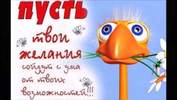 Смешные открытки с днем рождения