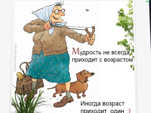 Смешные открытки