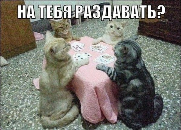 Смешные картинки