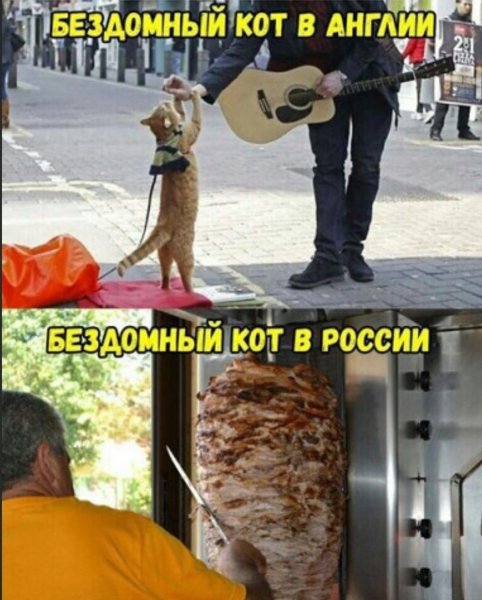 Приколы картинки с надписями