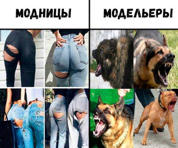 Картинки смешные приколы