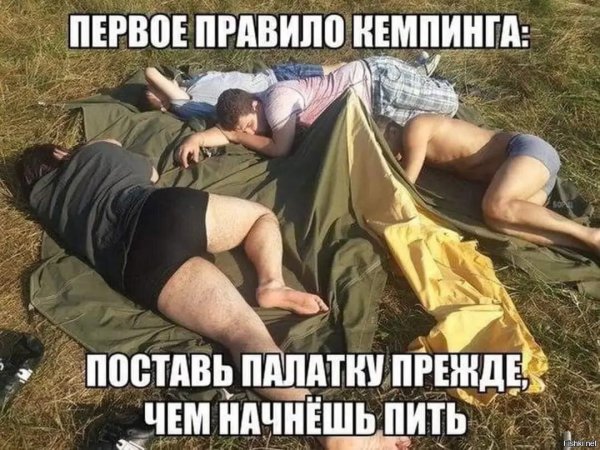 Лучшие смешные картинки с надписями