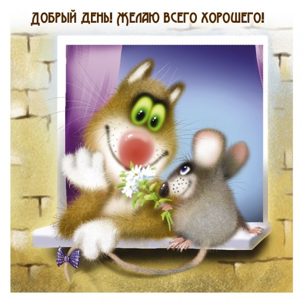 Открытки забавные хорошего дня