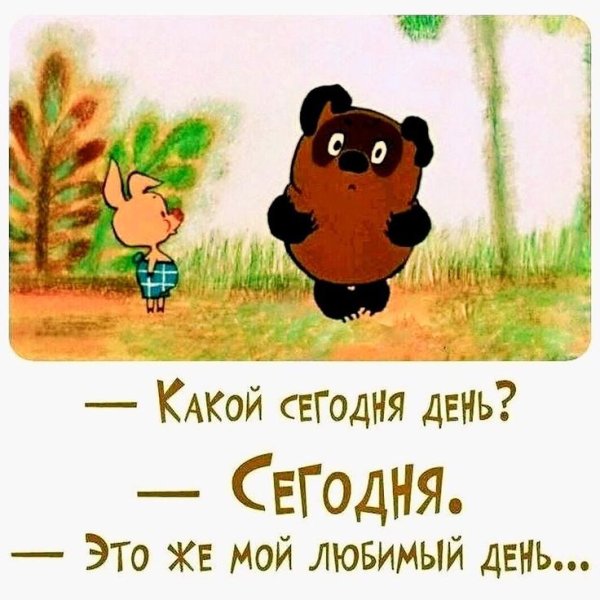 Статусы про день рождения прикольные