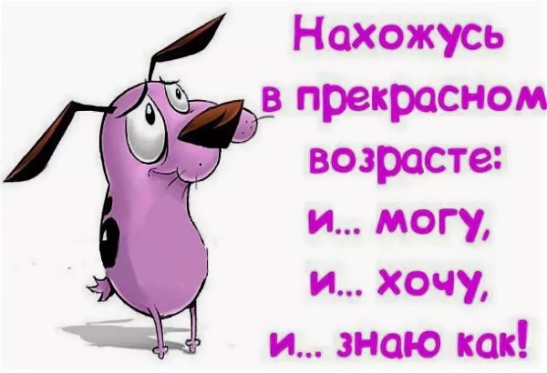 Прикольные фразы на день рождения