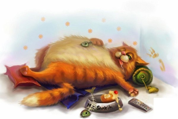 Кот Обжора