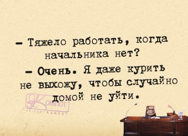 Шеф в отпуске