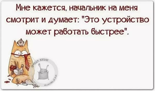 Фразы про начальника