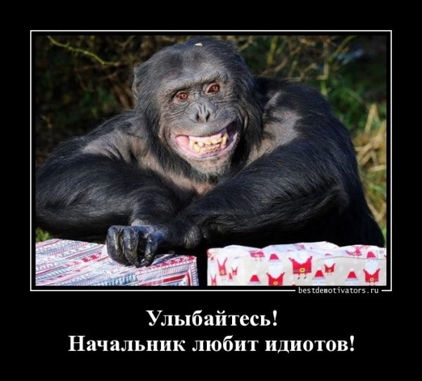 Приеолв про насальникк