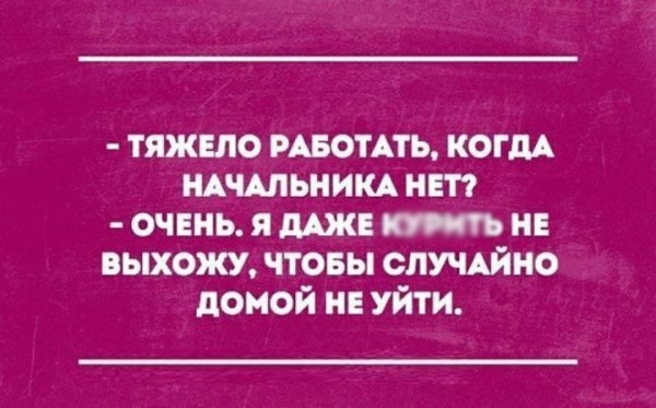 Начальник в отпуске