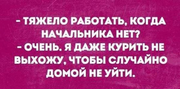 Приколы про начальника