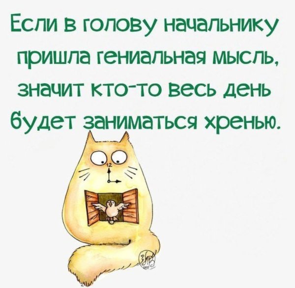 Смешные высказывания про начальника