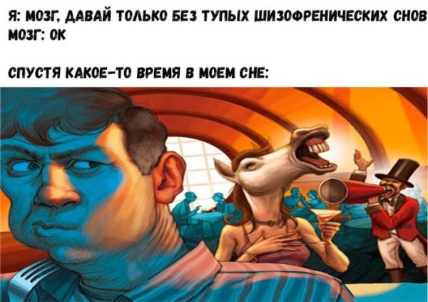 Моя шиза