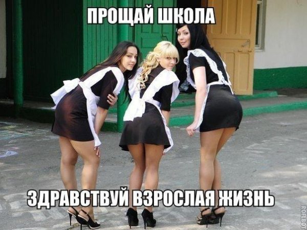 Школьница прикол