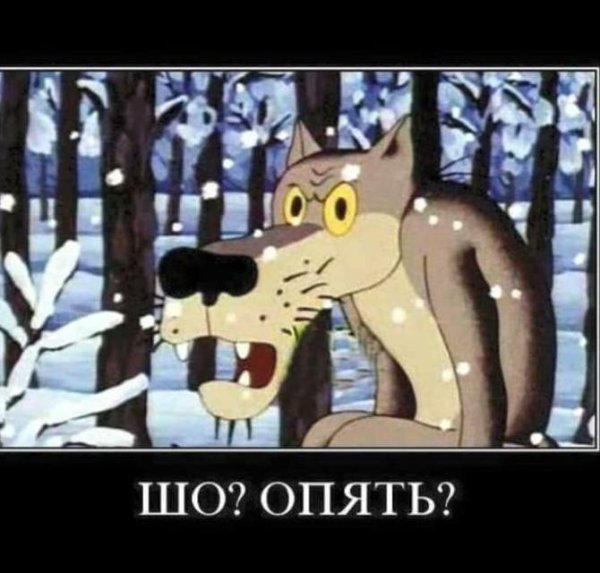 Шо опять
