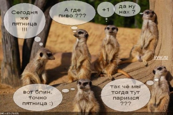 С пятницей картинки