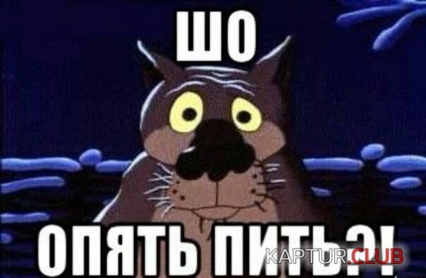 Шо опять пить волк