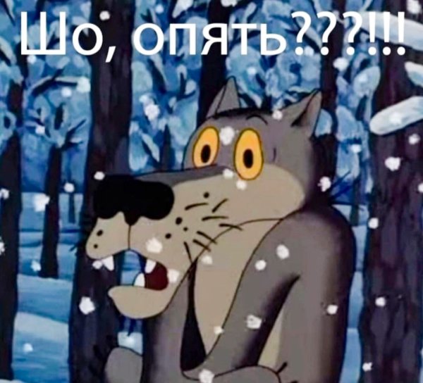 Волк из мультика шо опять