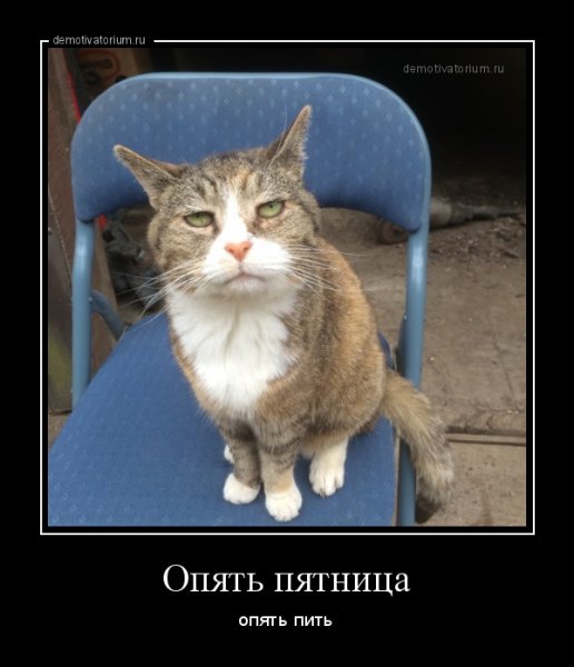 Опять пятница прикол