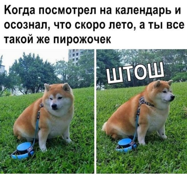 Штош Мем