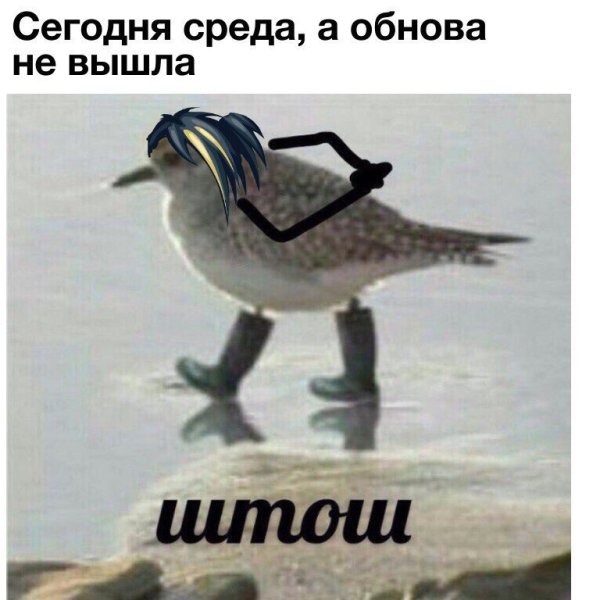 Ну штош Мем птичка