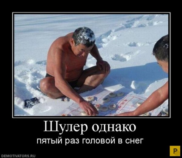 Шулеры фото приколы