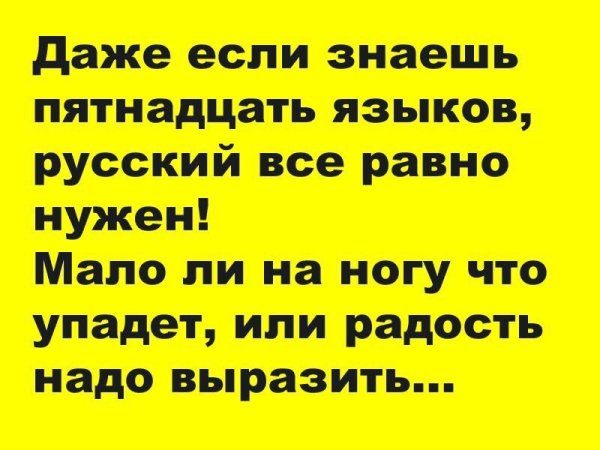 Шутки в картинках с надписями смешные