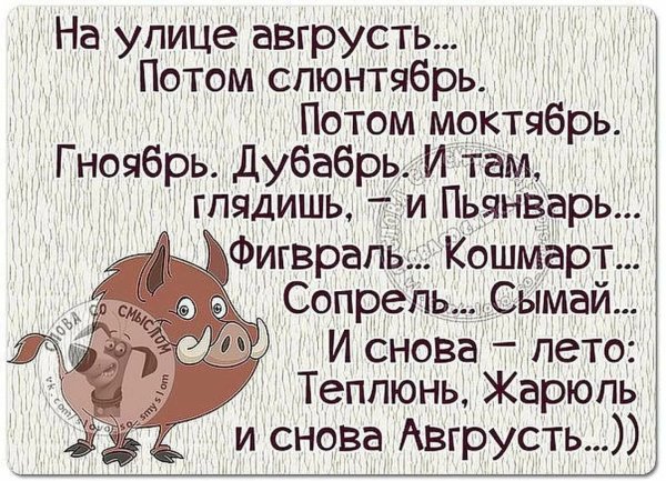 Юмористические высказывания