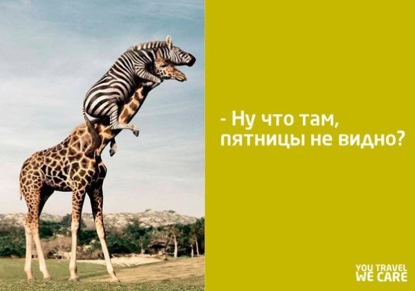Жду пятницу