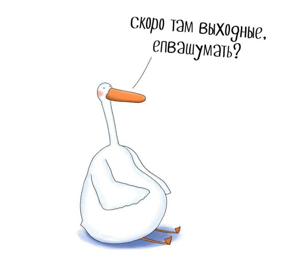 Выходные картинки прикольные