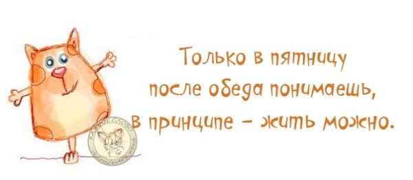 Дожили до пятницы