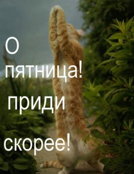 Скорее бы пятница