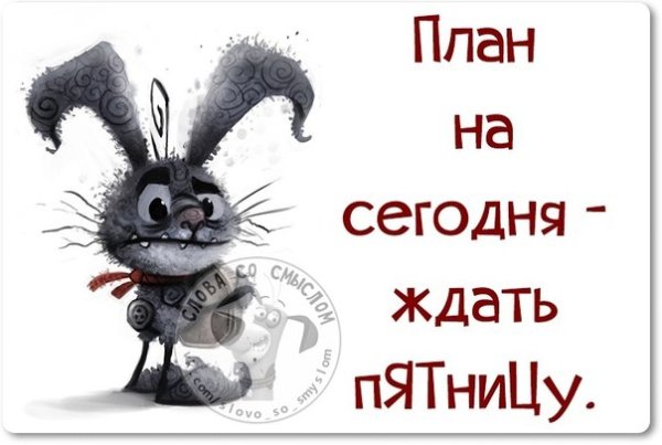 План на понедельни кждаьть пятницу