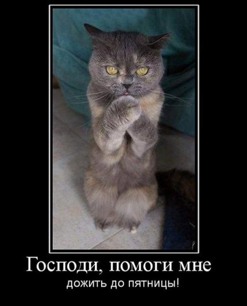 Демотиватор пятница вечер