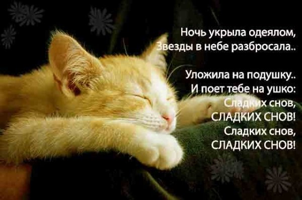 Спи спокойно и сладко