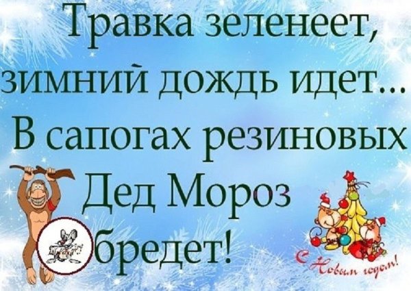 Смешные зимние высказывания