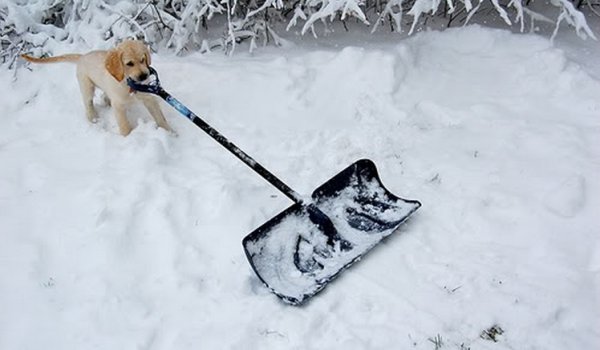 Уборка снега прикол