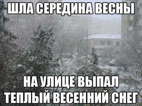 Снег весной прикольные